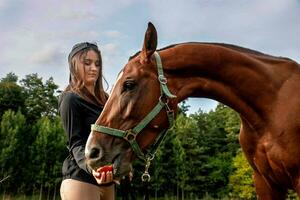 menina guloseimas a cavalo com a maçã para uma andar foto