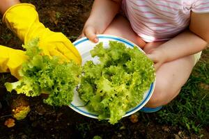 mãe e filha colocar recentemente escolhido salada em uma prato foto