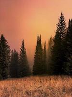 cores do pôr do sol através da névoa foto