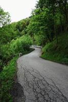 estrada com vegetação verde na floresta foto