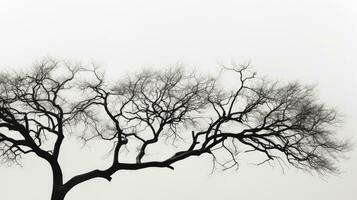detalhado Visão do uma árvore silhueta dentro Preto e branco foto