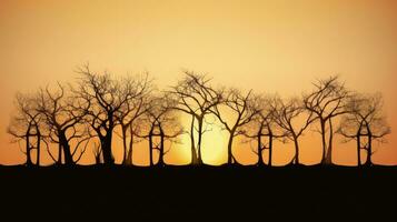 formas do árvores e plantas contrastante com a Sol s descida. silhueta conceito foto