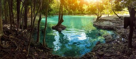 floresta de mangue e canal de águas claras na piscina esmeralda manguezal floresta de mangue na província de Krabi, na Tailândia foto