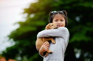 pequeno menina e cachorro amor entre homem e cachorro vínculo do crianças e inteligente animais de estimação jogando dentro a quintal amor conceito foto