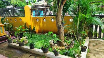 exuberante paisagístico jardim com canteiro de flores foto