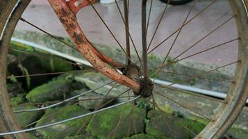 raios bicicleta, oxidado bicicleta roda foto