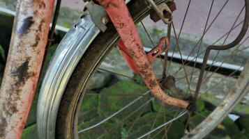 raios bicicleta, oxidado bicicleta roda foto