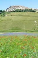 castelluccio di norcia e sua natureza florida foto