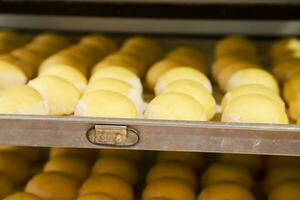 mini pão massa rosquinhas estão cozido dentro uma quente forno foto