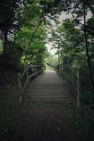 caminho da ponte na montanha foto