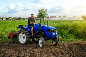 agricultor em uma trator trabalho dentro a campo. terra cultivo. sazonal trabalhador. recrutamento e contratação empregados para trabalhos dentro a Fazenda. agricultura, agricultura. preparatório terraplenagem antes plantio uma Novo colheita foto