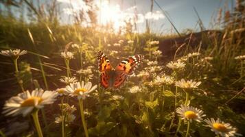 ai generativo brilhante lindo panorâmico imagem do uma Prado aceso de a Sol com florescendo margaridas e tremulando borboletas dentro natureza verão foto