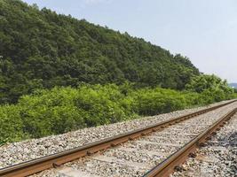 trilhos de trem na floresta. Coreia do Sul foto