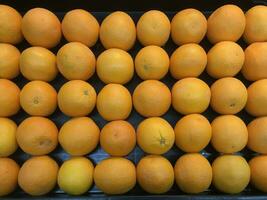 retrato do fresco citrino frutas ordenadamente arranjado em uma supermercado prateleira. foto