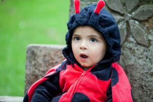 pequeno bebê menina vestindo uma joaninha fantasia. dia das Bruxas conceito. foto