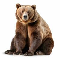 lindo selvagem fera Urso olhando frente é mostrando dentro cheio comprimento, ai gerado foto