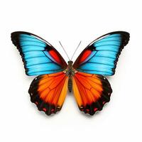 lindo grande selvagem borboleta olhando frente é mostrando dentro cheio comprimento, ai gerado foto