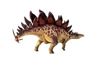 dinossauro , estegossauro isolado fundo foto