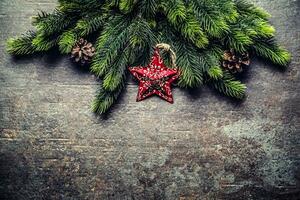 Natal Estrela abeto galhos cones em Sombrio borda. foto
