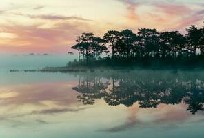 lindo manhã panorama do enevoado lago com reflexão do árvores dentro água foto