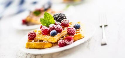 fresco waffles com bagas açúcar pó formiga hortelã folhas. foto