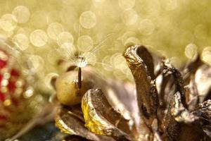 penugem de dente de leão com uma gota d'água em um fundo desfocado de natal foto