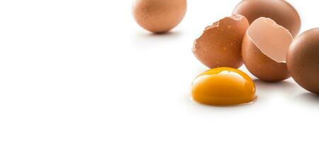 frango ovos e quebrado ovo com gema isolado em branco fundo foto