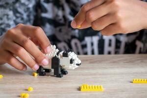 fechar acima ásia menina 5-6 ano velho criança jogando com Lego tijolos ou brinquedo às lar, ásia meninas relaxar com jogando tijolo blocos em de madeira mesa e apreciar jogando brinquedos. foto