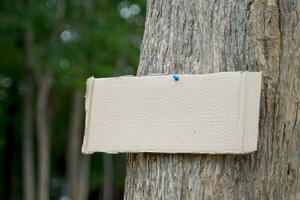 engradado papel placa em a árvore para escrevendo de Meio Ambiente campanha mensagens e floresta conservação, para exemplo, Faz não cortar árvores, plantar conservação áreas, amor a mundo, amor árvores, etc. foto