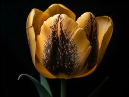 a beleza do uma amarelo tulipa - uma fechar-se fotografia obra-prima - ai gerado foto