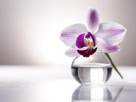 minimalista orquídea ainda vida em branco fundo com sonhadores borrão - ai gerado foto