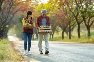 feliz agricultor família carregando orgânico caseiro produzir colheita com maçã, abóbora e abóbora enquanto caminhando ao longo a país estrada com outono cor a partir de bordo árvore durante a outono estação foto