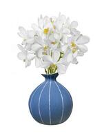 ramalhete do cortar Fora branco dendrobium orquídea haste flor dentro a vaso isolado em branco fundo foto