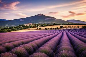 ai generativo. provence panorama com lavanda Campos. foto