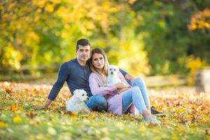 uma amoroso casal dentro a outono parque mentiras em a folhas foto