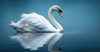 branco cisne natação em a água - ai generativo foto