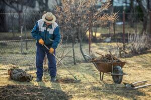 a idosos masculino agricultor limpa a jardim depois de escavação acima a velho fruta árvore foto
