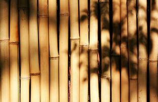 bambu parede dentro Tailândia Ásia madeira textura e fundo. usar para textura fundo. foto