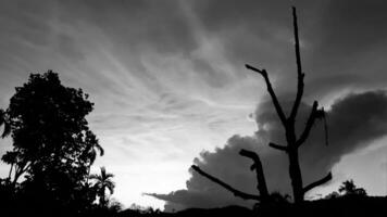 beleza do a panorama Serra montanhas, betel Palma Serra morto grande árvore com Preto e branco céu. vintage natureza tarde encantador dentro a interior. foto