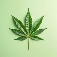 cannabis folha em uma luz fundo foto