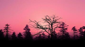 uma vibrante Rosa pôr do sol elencos floresta árvore galhos Como silhuetas dentro uma deslumbrante exibição do contrastante tons foto