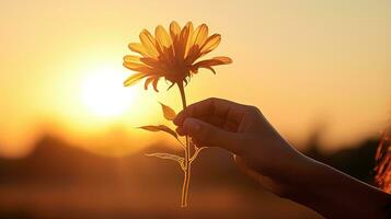 mulher s mão segurando uma flor dentro brilho do sol contorno. silhueta conceito foto