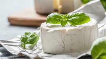 queijo Camembert ou brie queijo com manjericão folhas em mesa foto