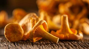 cru chanterelles cogumelo em madeira com salsinha ervas foto