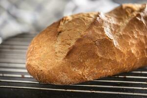 quente vapor caseiro pão do pão fechar-se em uma Sombrio cozinha escrivaninha foto