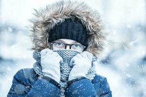 inverno Nevado retrato do jovem menina dentro caloroso roupas foto