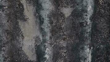 parede e cimento textura com envelhecimento impressão foto