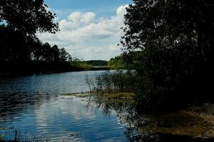 verão idílico panorama com uma lago debaixo uma azul céu em uma caloroso ensolarado dia foto