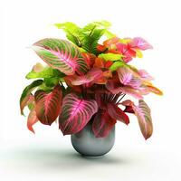 brilhante cor ornamental plantas dentro a Panela foto