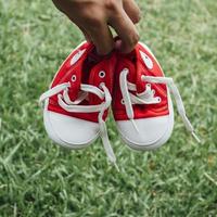 sapatos de lona pequenos vermelhos fofos na grama foto